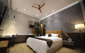 The Cozy Chaos